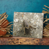 Plaque de cricket Brown (Côté)