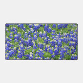 Plaque de cuisson bureau Texas Bluebonnets (Recto)