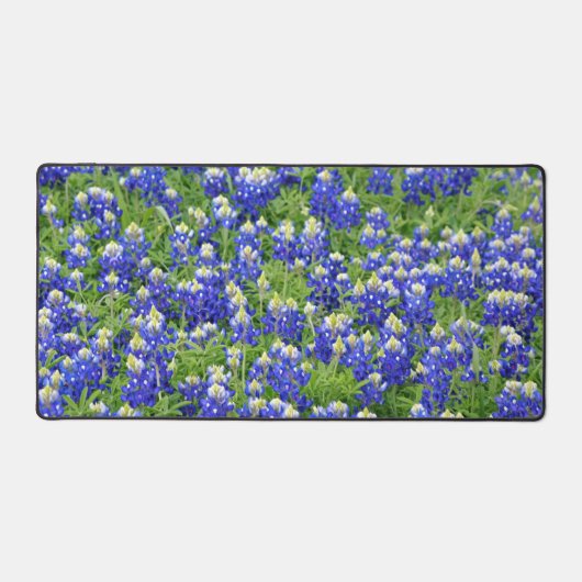 Plaque de cuisson bureau Texas Bluebonnets (Recto)