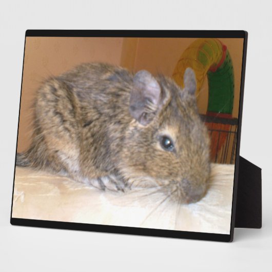 Plaque de détente Degu (Côté)