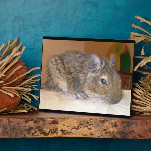 Plaque de détente Degu (Côté)