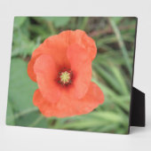 Plaque de fleurs de pavot sauvage (Côté)