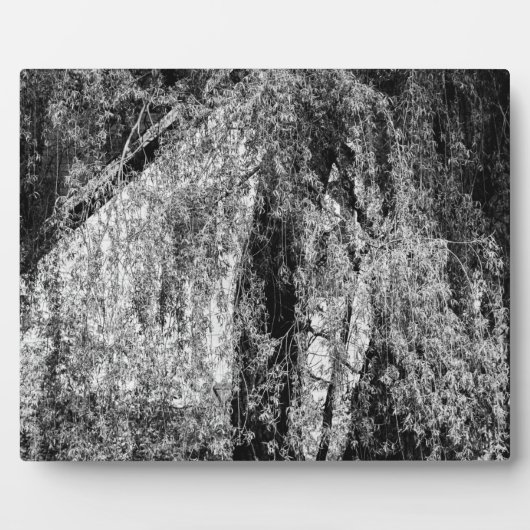 plaque de la maison d'arrêt (Devant)