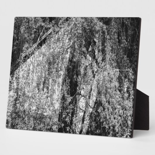 plaque de la maison d'arrêt (Côté)