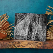 plaque de la maison d'arrêt (Côté)