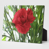 Plaque de la nation rouge (Côté)