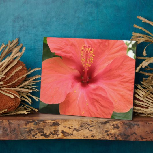 Plaque de macro orange Hibiscus Fleur (Côté)