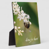 Plaque de motivation "Hang in There" (Côté)