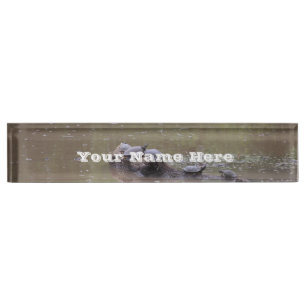 Plaque de nom du bureau de tortues