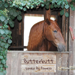 Plaque De Porte Simulateur Rustique Bois Horse Stall Classique Cha