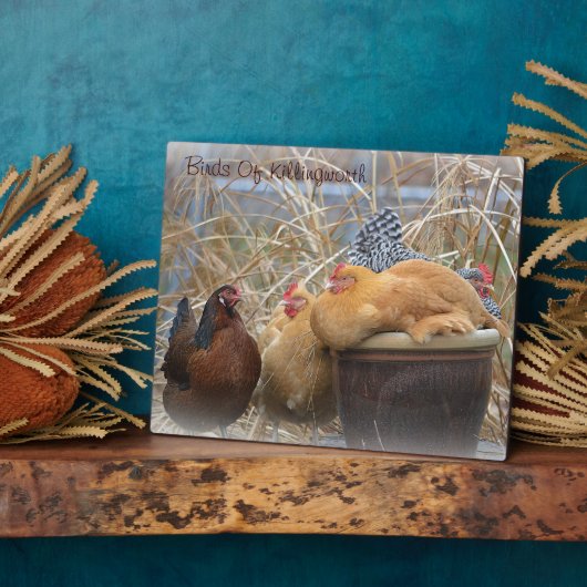 Plaque de poulet (Côté)