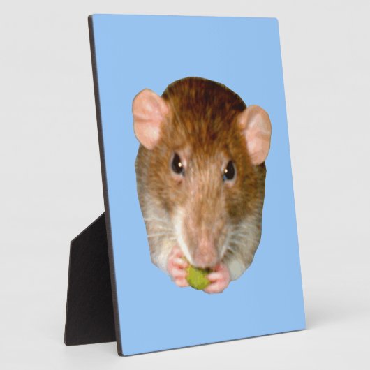 Plaque de Rat Faim (Côté)