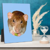 Plaque de Rat Faim (Côté)