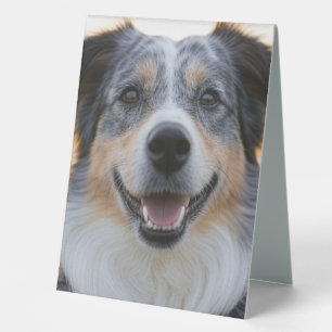 Plaque De Table Ajouter une Personnaliser photo pour animaux domes