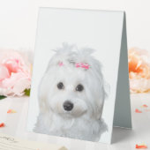 Plaque De Table Blanc Maltais Tender Sweetty Étiquette (In SItu (Mariage))