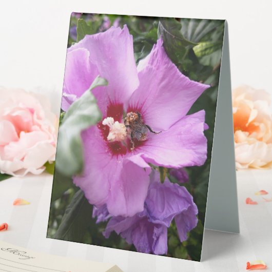 Plaque De Table Bumblebebe sur la fleur d'Hibiscus (In SItu (Mariage))