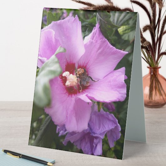 Plaque De Table Bumblebebe sur la fleur d'Hibiscus (En SItu (Tableau))