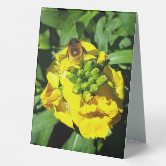 Plaque De Table Bumblebebe sur la fleur d'Hibiscus (Verso)