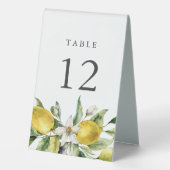 Plaque De Table Citrus de citron rustique Numéro de tableau (Verso)