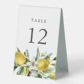 Plaque De Table Citrus de citron rustique Numéro de tableau (Recto)