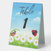 Plaque De Table Coute Polka point Ladybug Daisy Flower fête d'anni (Recto)