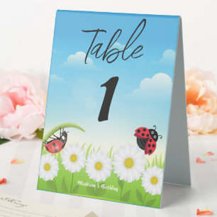 Plaque De Table Coute Polka point Ladybug Daisy Flower fête d'anni