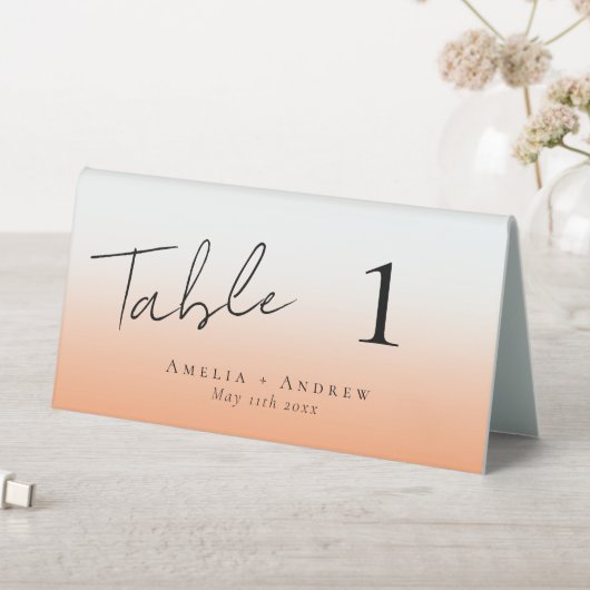 Plaque De Table Elégant Pêche Orange Fuzz Mariage Numéro de table (En SItu (Tableau))