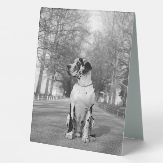 Plaque De Table Great Dane Kennel QR Code Signal promotionnel (Verso)