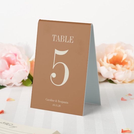Plaque De Table Mariage Simple Élégant Classique Terracotta Élégan (In SItu (Mariage))