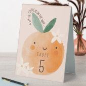 Plaque De Table Petite Orange Douce Citrus Botanique Baby Shower (En SItu (Tableau))