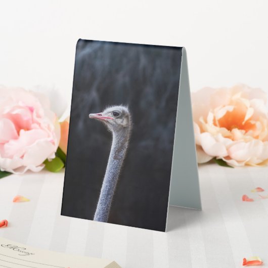 Plaque De Table portrait d'autruche (In SItu (Mariage))