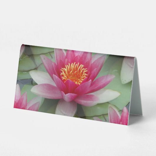 Plaque De Table Rose Lotus Water Lily (Recto)