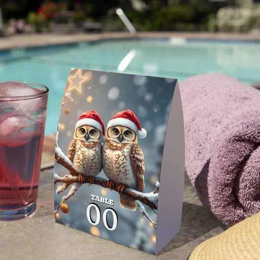 Plaque De Table Snow Owls Christmas Table Sign – Cute Winter Owl (Insitu (sur table))