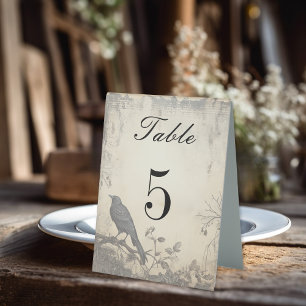 Plaque De Table Symbole gothique Moody Scènes Crème et Table Noire