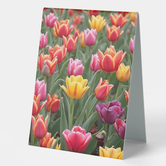 Plaque De Table Tulipes néerlandaises (Recto)