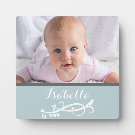 Plaque de torrents (Devant)