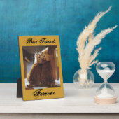 Plaque des meilleurs amis (Côté)