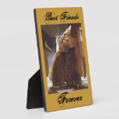 Plaque des meilleurs amis (Côté)