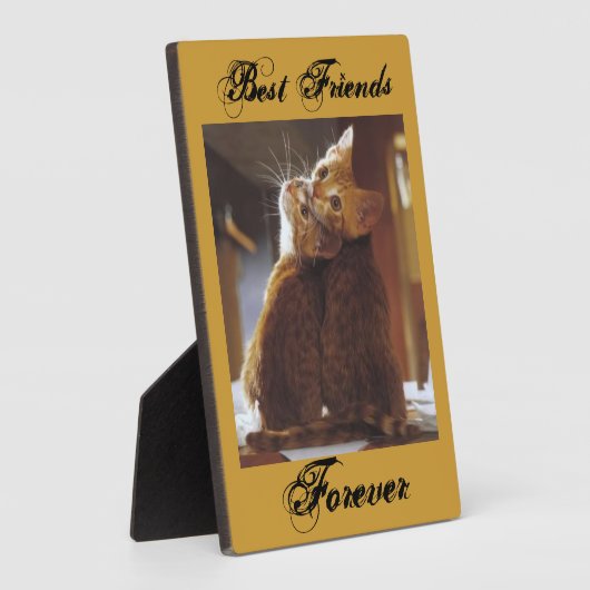 Plaque des meilleurs amis (Côté)