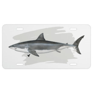 Plaque D'immatriculation Grande plaque minéralogique de requin blanc