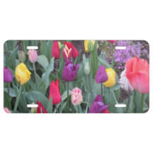 Plaque de licence de jardin de Tulip
