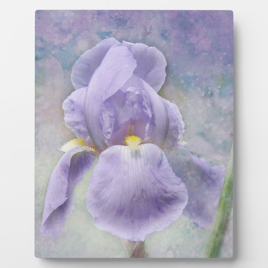 Plaque d'Iris violet texturée (Devant)