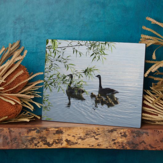 Plaque d'oies sauvages (Côté)