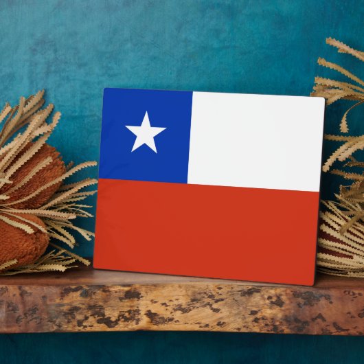 Plaque Drapeau Chilien (Côté)