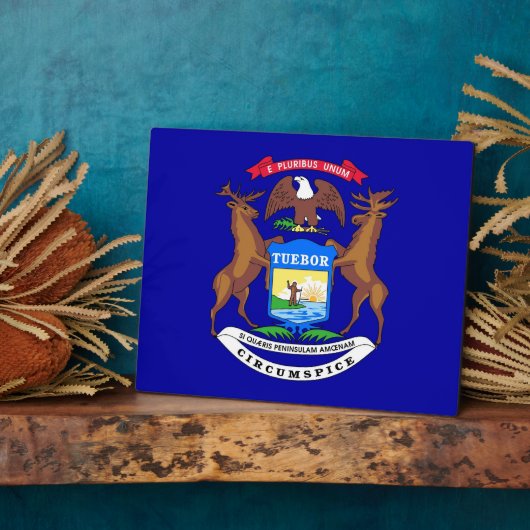 Plaque drapeau de l'État du Michigan (Côté)