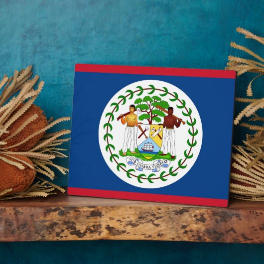 Plaque drapeau du Belize (Côté)