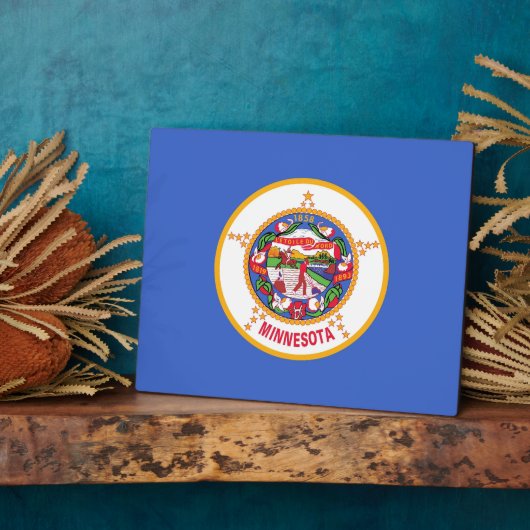 Plaque du drapeau de l'État du Minnesota (Côté)