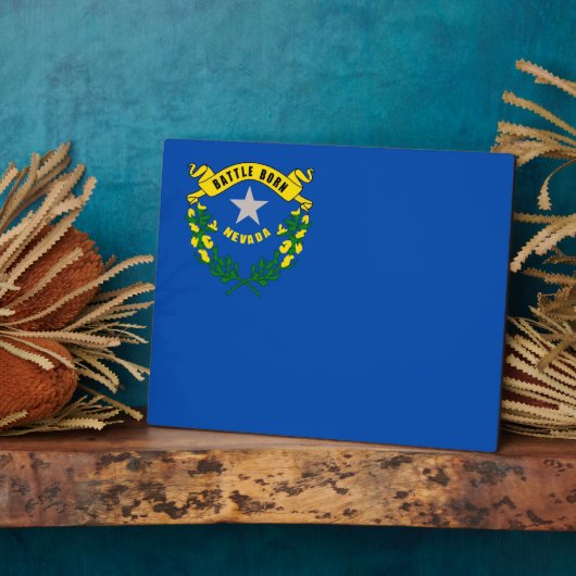 Plaque du drapeau de l'État du Nevada (Côté)