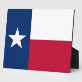 Plaque du drapeau de l'État du Texas (Côté)