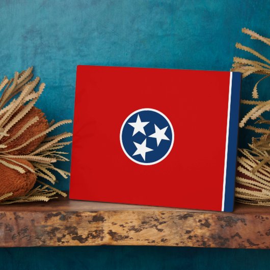 Plaque du drapeau d'état du Tennessee (Côté)
